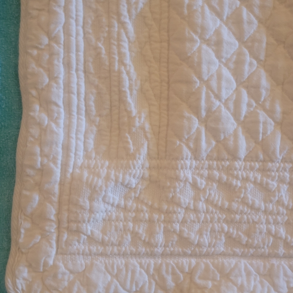TWO beautiful Williamsburg Ellery Homestyle EURO SQUARE PILLOW SHAMS. Like new .